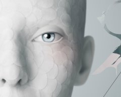 Вышла Retina версия Photoshop и Illustrator CS6